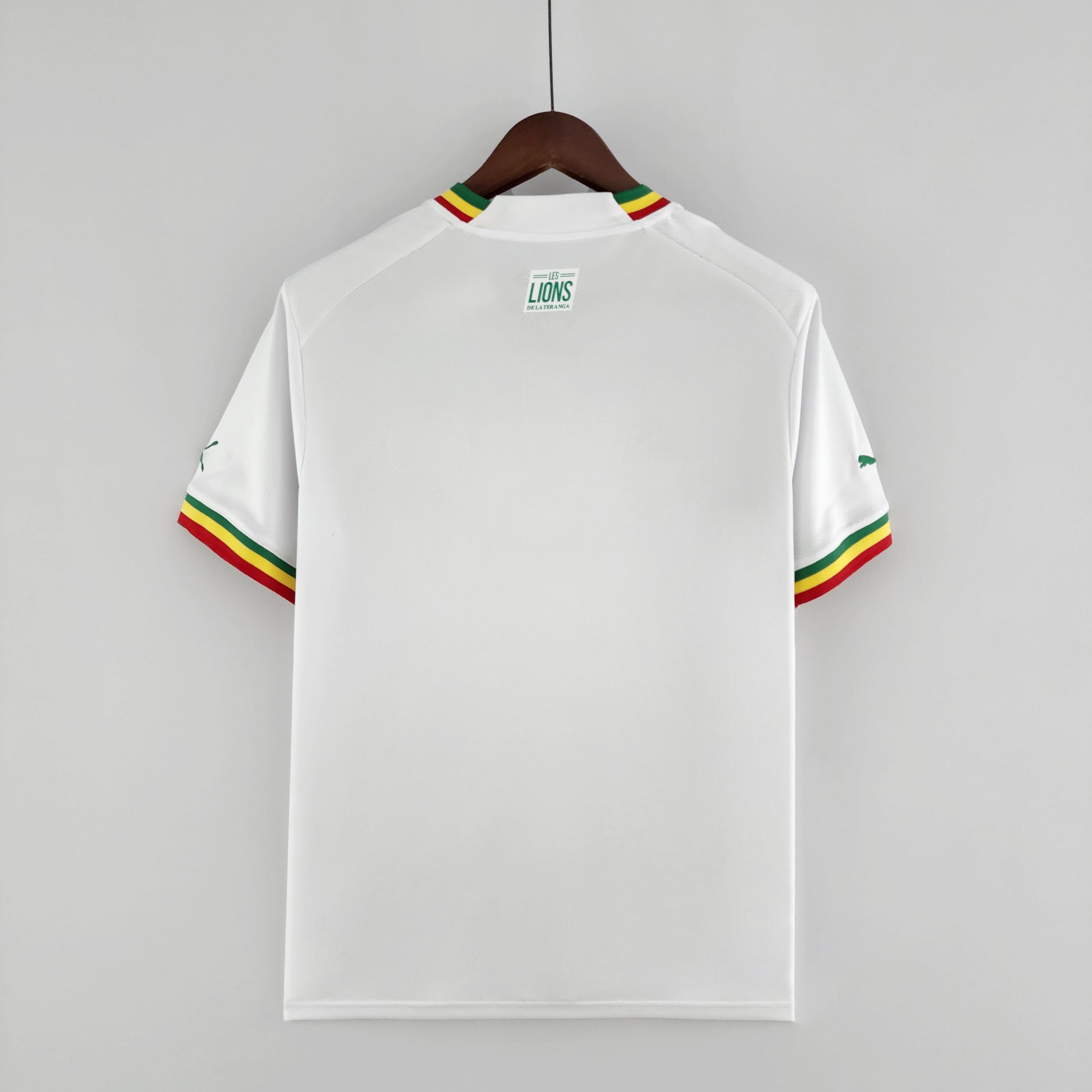 Senegal Home Kit 2022