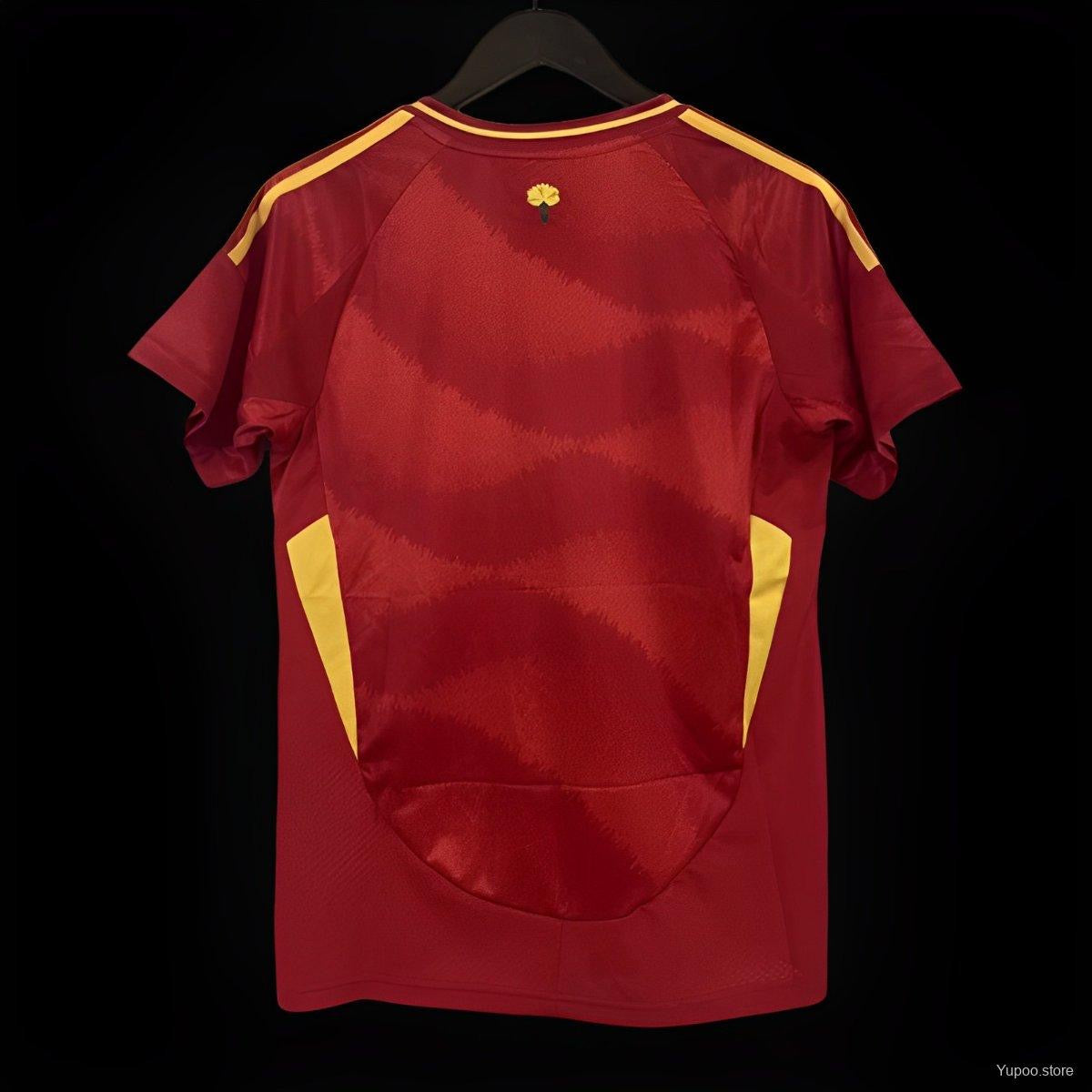 Spain Home Kit 2024