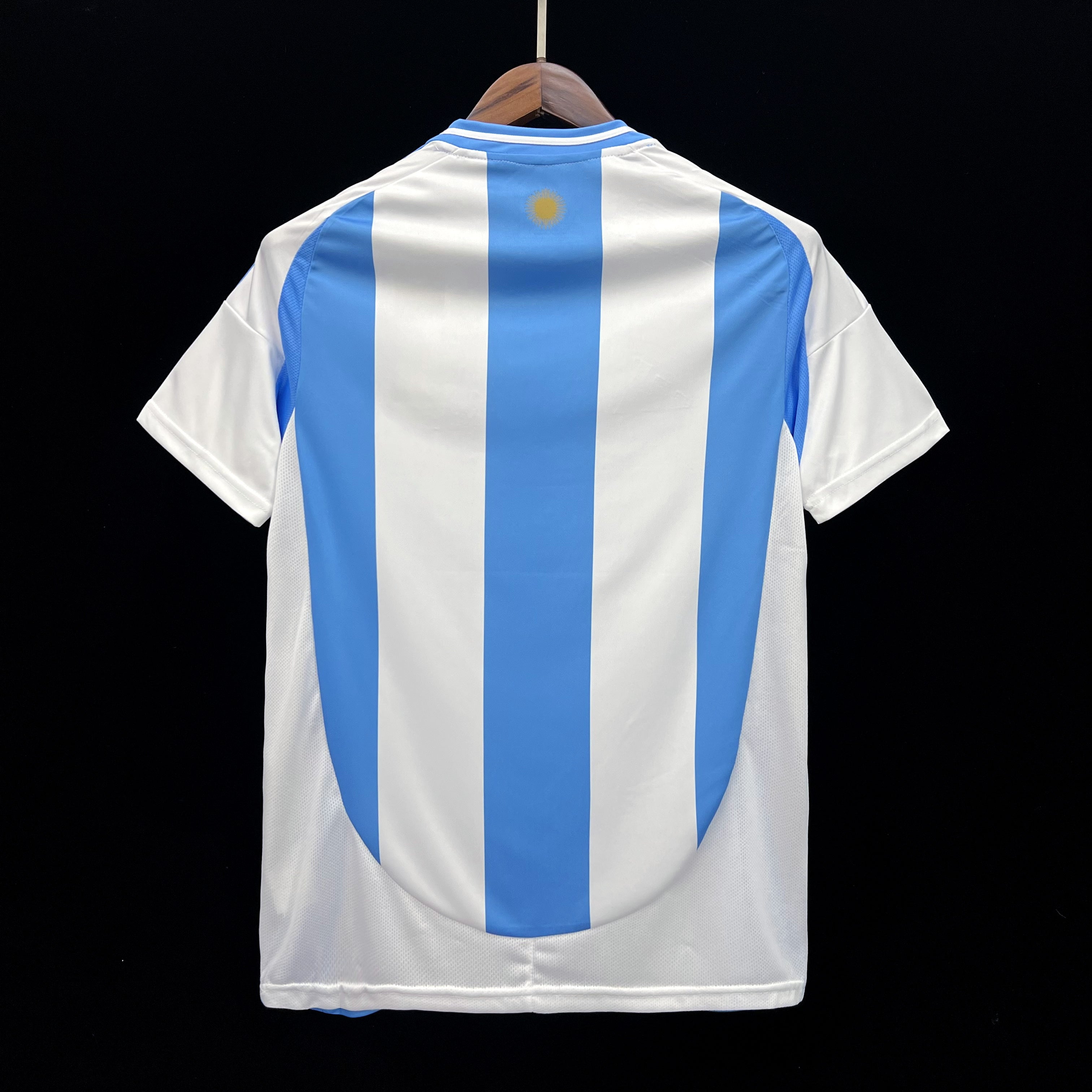 Argentina Home Kit 2024